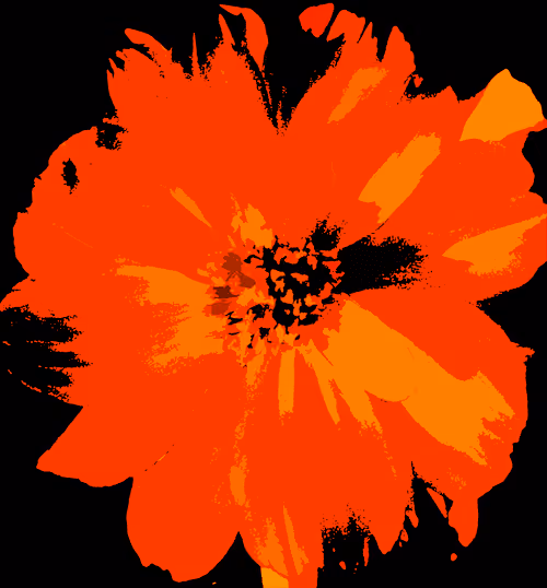 Item #52976950402654845118346719408738568385707735523303187800578383987283666665473 Media