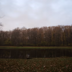 reflection