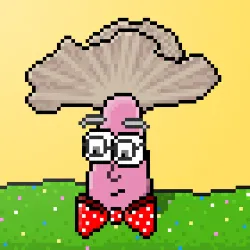 33741781216748986518517832568595493503429706584982134247768926200926281138177