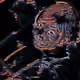 107085823462215735122403473906220261293452165751704639390806950448530880200705