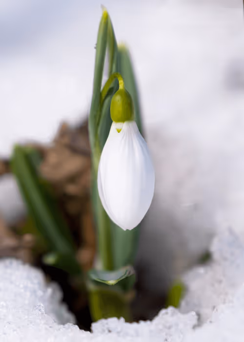 Item #33320035369382812626191691712321193911633617638835009493601594470982196658177 Media