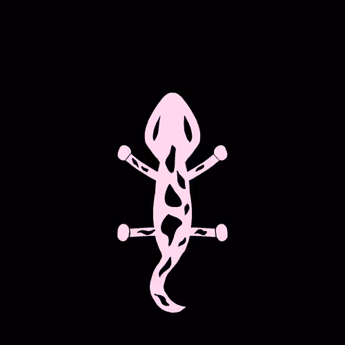 Item #84192900093071236542775364088854331914646412670809568282934807588345007308801 Media