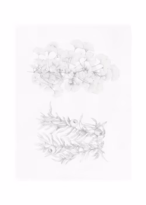 Item #67553364102704910052786438722982539447022718177836165747965600798960837984257 Media