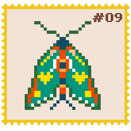 Item #3799421118108048696112028872328355946374677036911319491267585489401544704001 Media