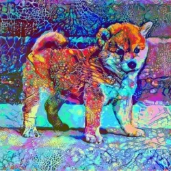 56217793699816248986222488004108541426472923207840297687166606897434203258900