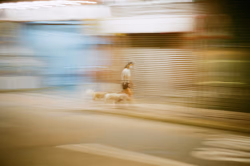 Item #25255888101002382068529850944543426464407705804600295961589146165364429684737 Media