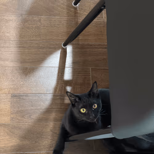 Item #57432309319676179700798702069366385585354272226932054472084541999109497683969 Media