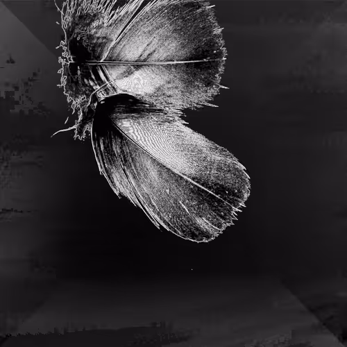 Item #72932321608233697749117711298000337470595698923978217717692158308828617637889 Media