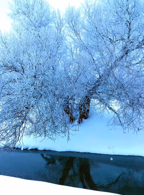 Item #55297223282317197917185791022658401724226762533250968792427961464165303844865 Media