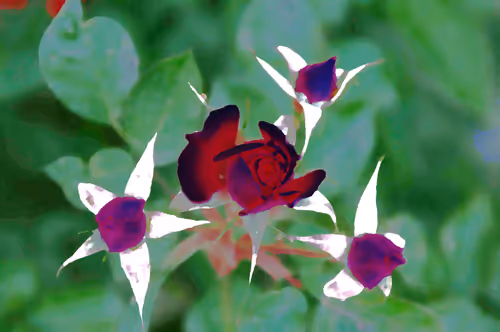 Item #97472780855113725442361506406406632137290984226550429674679319496763771977729 Media