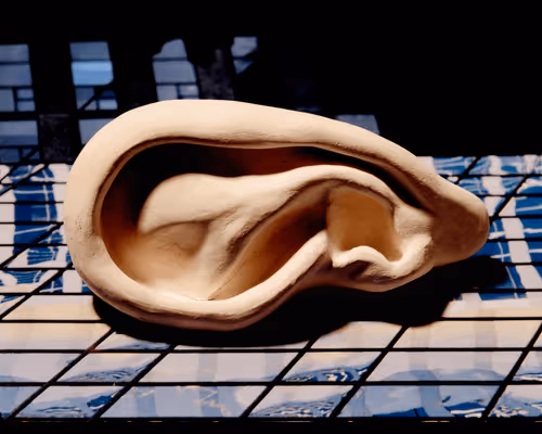 Item #109162157552346088047496633038404394118504199992061596446112929330252268699649 Media