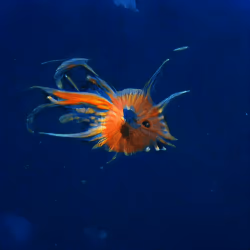 Item #93923887731966639760197662534300547726212510779526051617655967353597052583937 Media