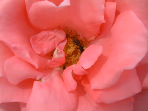 Item #72925079646173943955019179802066495558357068765344184678483369780478646157322 Media