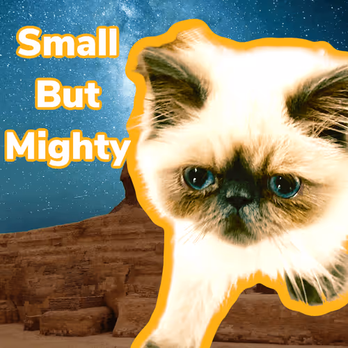 Item #15794007923744964589463280162252880392984187578375107792652798221305312706660 Media