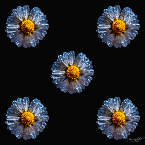 Item #89391192597263391136044580477004385791178853536307937117206813461360068788225 Media