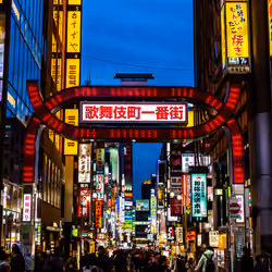 Shinjuku Kabukicho #2