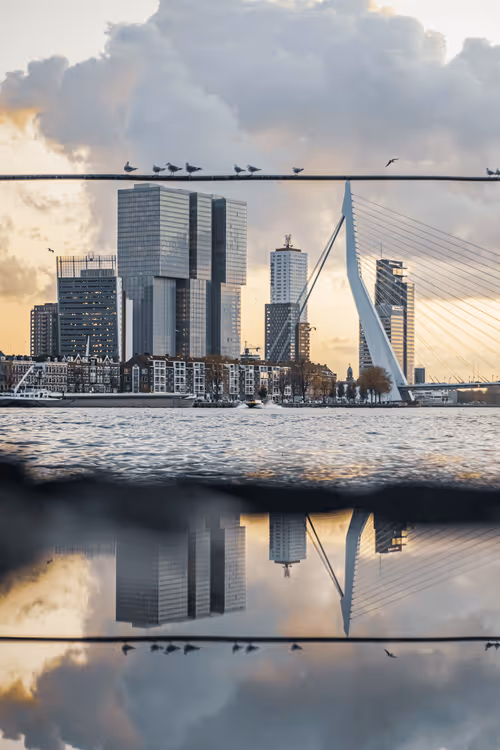 Item #63941686978381941053943929737968123784537789017631438611022902573340085452801 Media