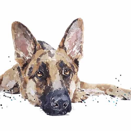 Item #15308155937593783866228062712704217529335676444312394672786838620522902716421 Media