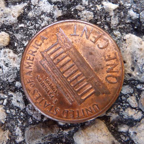 Item #98065948372032999853535390997685950341751582277362701673252649082961835065345 Media