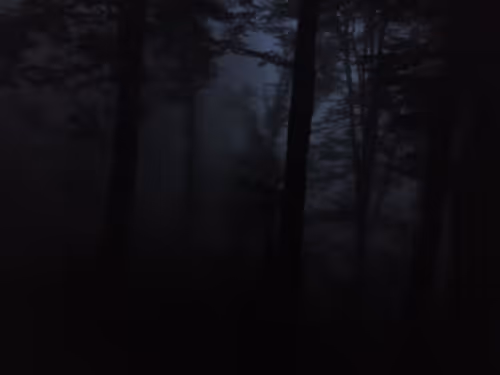 Item #97219865858787663326181629468222283976607091941944133530001367218252316409857 Media