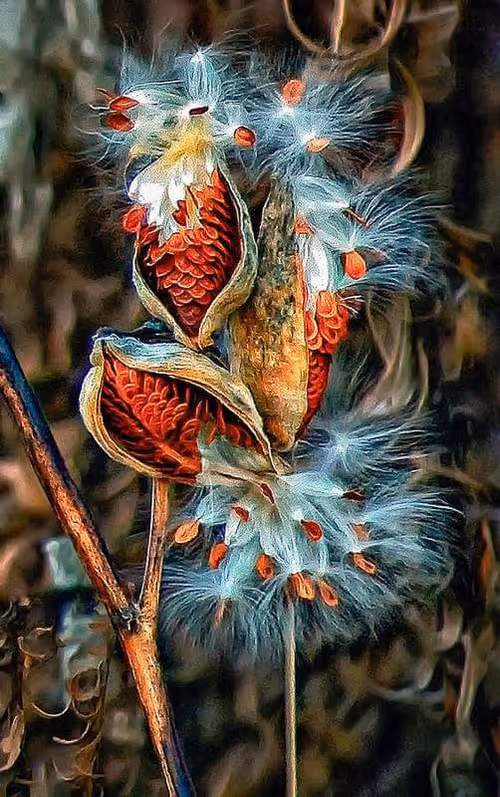 Item #83462484926125179177933876272722647181473475967863052278931111155926631972865 Media