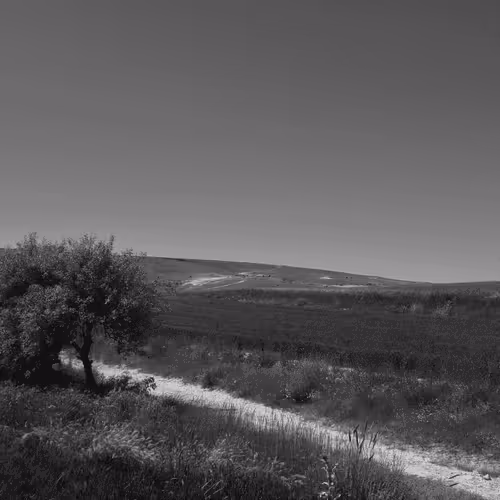 Item #107742627867956892364714120184147413803821811265510288122929724892742850445313 Media