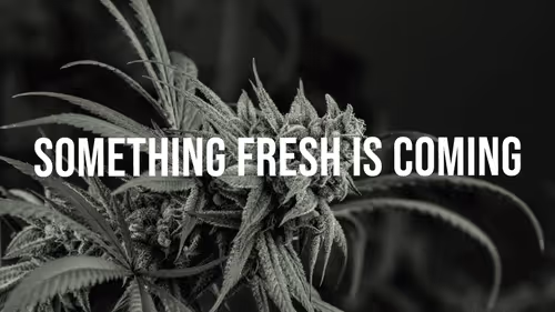 39122543163351007302966176111691372480542422446056375901456255585550407303173