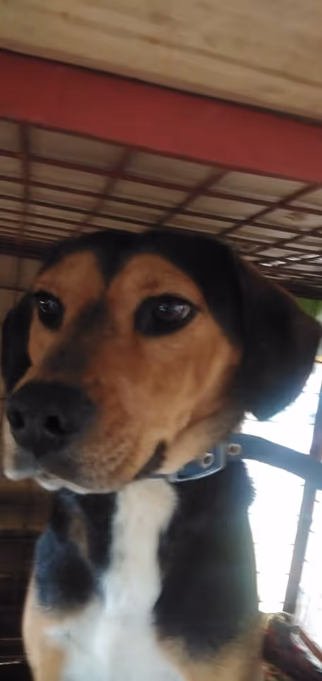 Item #23439807421783349604606688817165201350165750151979961366033252236998828097537 Media