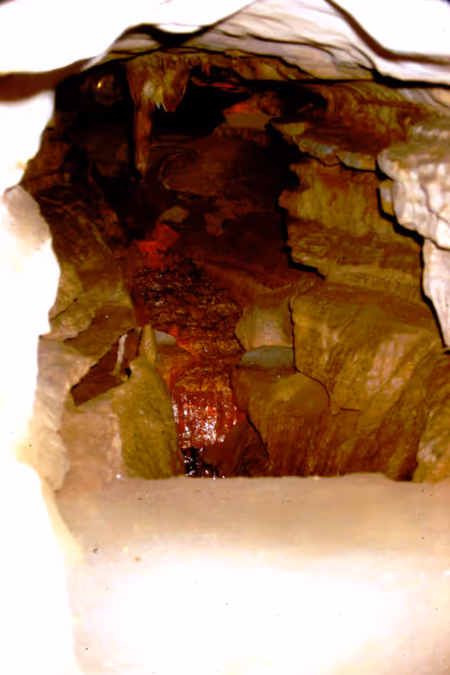 Item #113047771030127017240919341709485116586684509374101894410877815094262322167809 Media