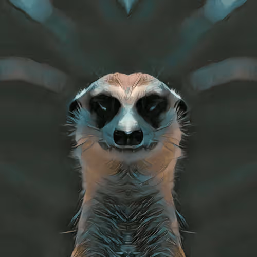 MysticMongoose