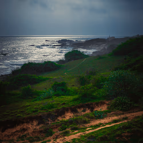 Untitled Collection #115004034