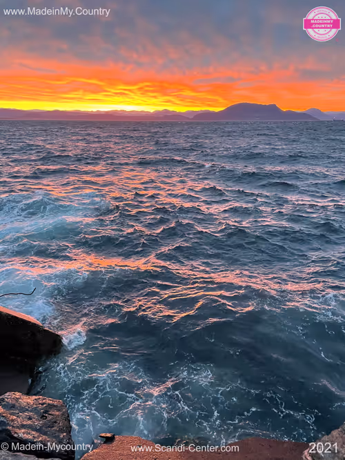 Item #21218919643484846679386017214105436286474954155539936946797714421653058879538 Media