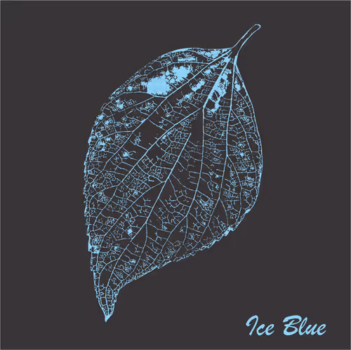 Item #40167138637940562108431742001123872206105593199433866487640627836267301699585 Media