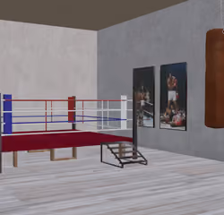 Boxing Hall Muhammad Ali 