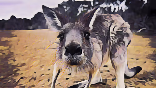 Item #74388721199083954673298778298232823886096642493620239959546432259852054036481 Media