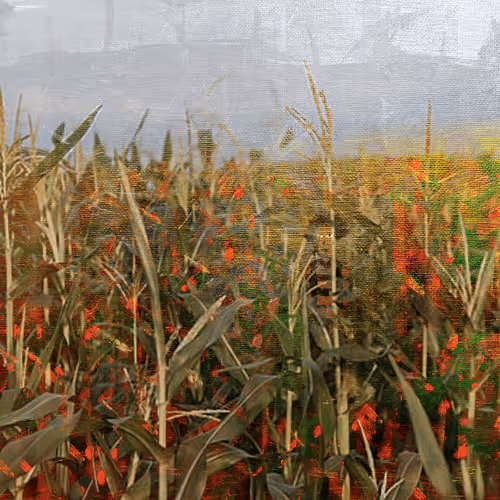 Item #7000171044690233542763066834754387191177494596940217849381785657262903132161 Media