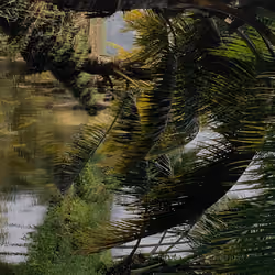 Baby River