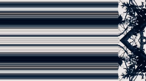 Item #91432175830589570902409758545023230591127682277750966987652460495157380251649 Media