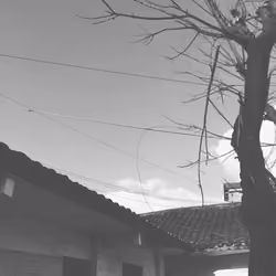 Air
