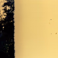 BURN#003-SUNSET