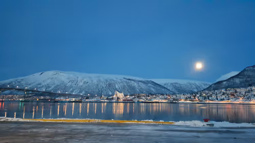 Untitled Collection #156070446