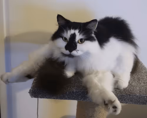 Item #13161020314009032005485822086301964352885579695205061807387255113507978346497 Media