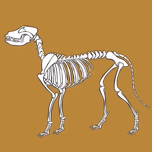 Item #66115251428437251400949335005857765940906863007353817121707627031939289972737 Media