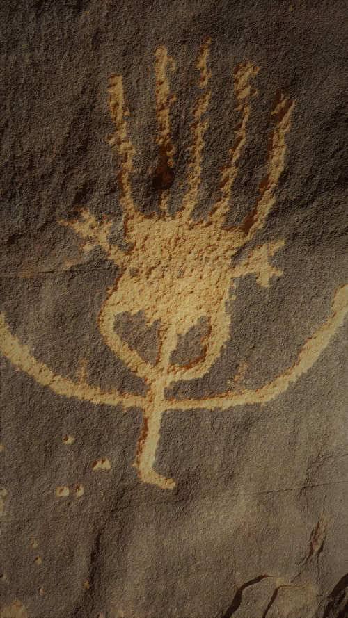 Item #50578502920293870732718629645812667217328975565129030789366414083434251026433 Media