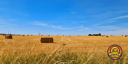 Item #35863194083128256797647772425284652682645032595179500226087347105427735183361 Media