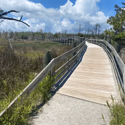 Bridge Over Marsh