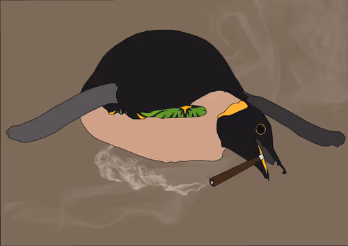 Item #46679994496108624530020148644785155104419172278486625888968680948728791564289 Media