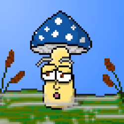 33741781216748986518517832568595493503429706584982134247768926297683304382465