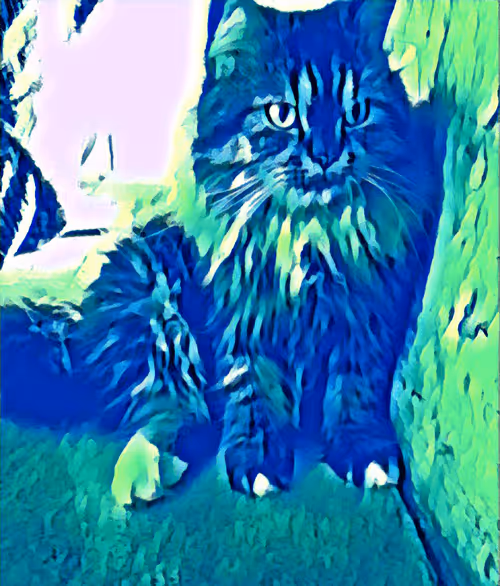 Item #29510731910910609866946623002702956419421614825625903317173568057157657559041 Media