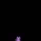 3523362206601975869976740571474918842982858158690985843209439120544248102913